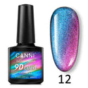 9D Cat Eye Gel